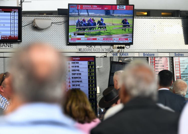 Punter watch a horse race on television